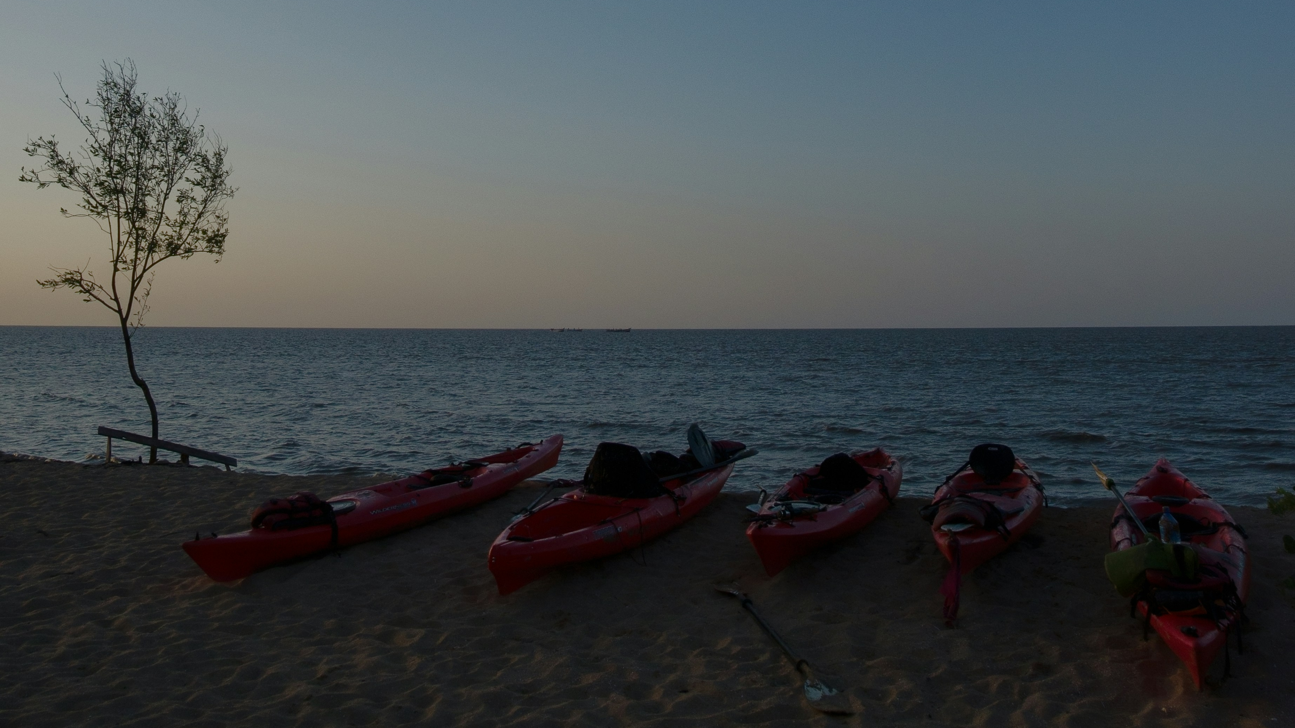 vincent-van-zalinge-8JtetWeA8Vk-unsplash